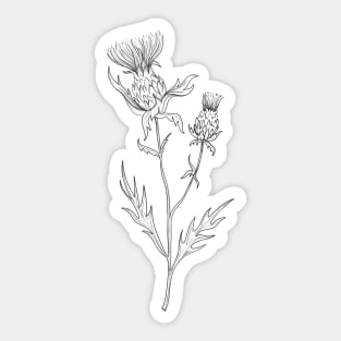 Thistle Ink Illustration Sticker